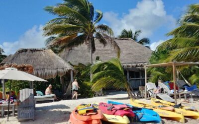 Costa Maya cruisers: Discover The Magic Of Maya Chan Beach