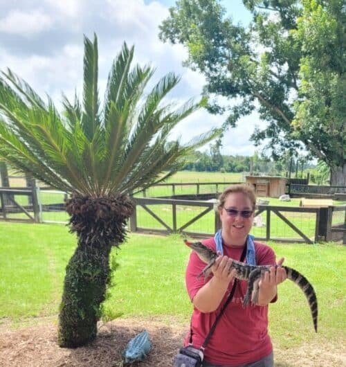Woman with red tshirt and grey shorts and blue bandana around neck poses for camera at alligator Alley holding baby alligator