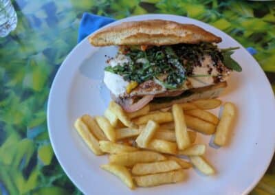 golden french fries sit on a white plate with a panini-pressed roll holding mozzarella cheese, tomato, and pesto from Carnival Deli