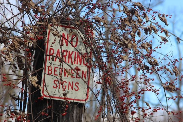 no parking sign obscured by branches and vines in los angeles