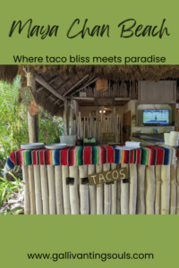 Taco buffet at Maya Can Resort, Port of Costa Maya, Mahahaul Mexico