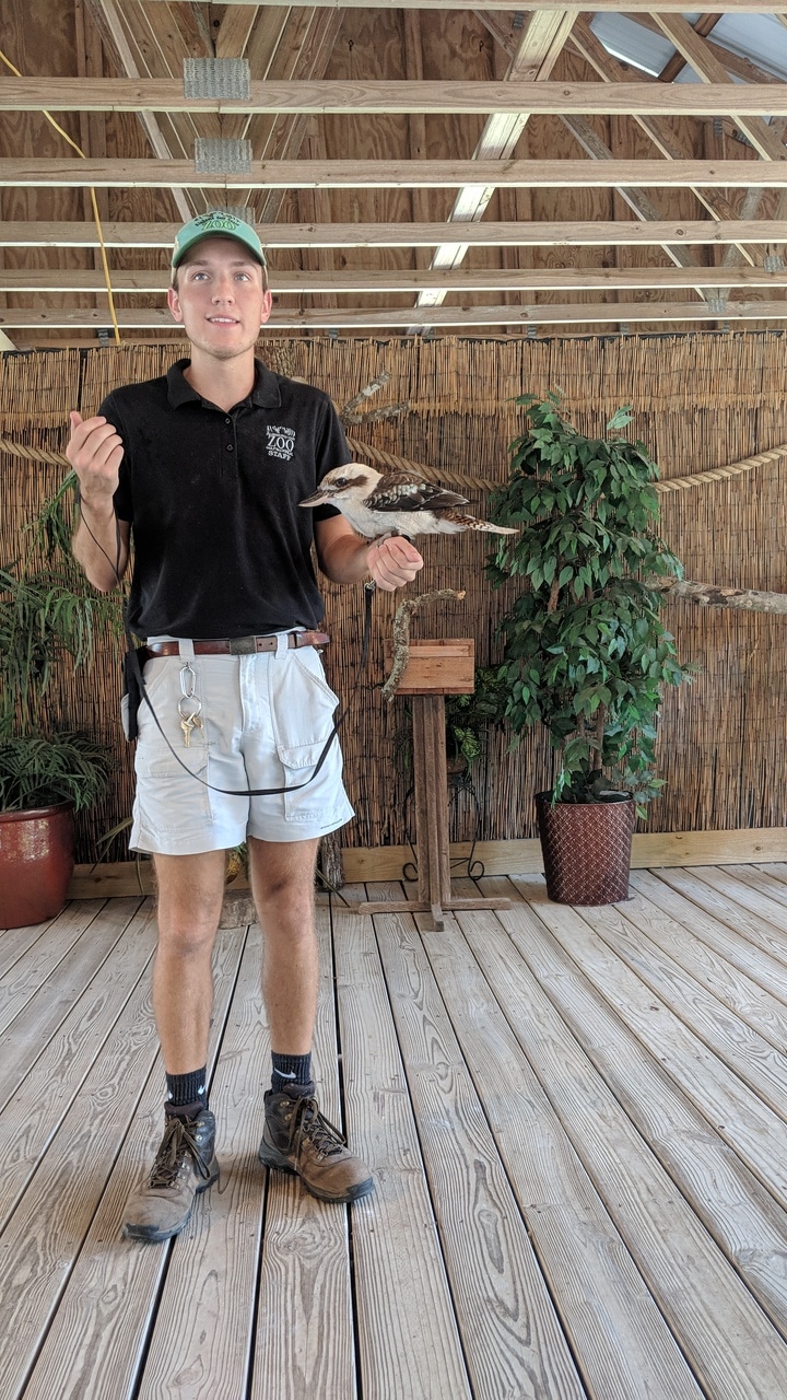 Young Zookeeper talks about Kookaburra at AL Gulf Coast Zoo