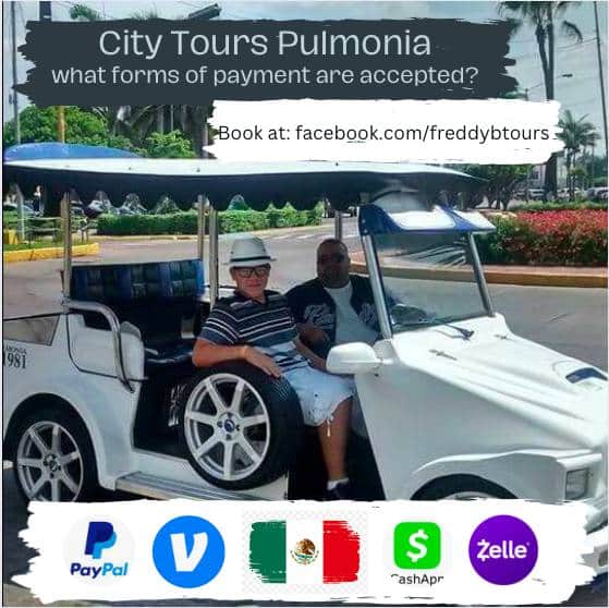 White Pulmonia owned by Freddy B of City Tours Pulmonia shows accepted forms of payment: Zelle, Venmo,Paypay, Cashap