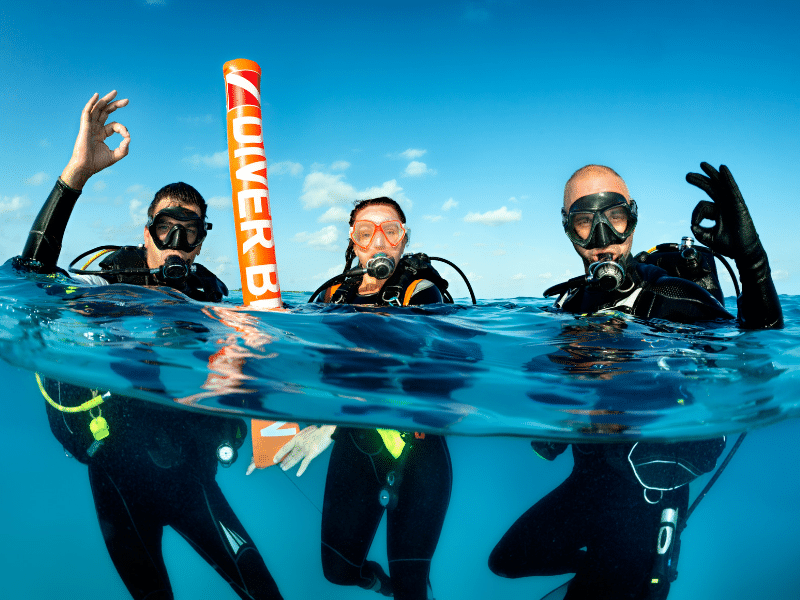 A group of divers surface near Dolfin Island AL