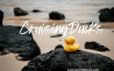 Cruising Ducks: Everything you wanted to know 2024