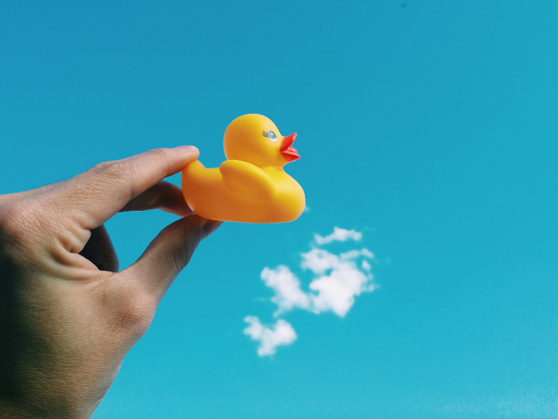 A rubber duck in hand