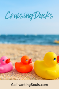 cruising ducks hiding on a beach