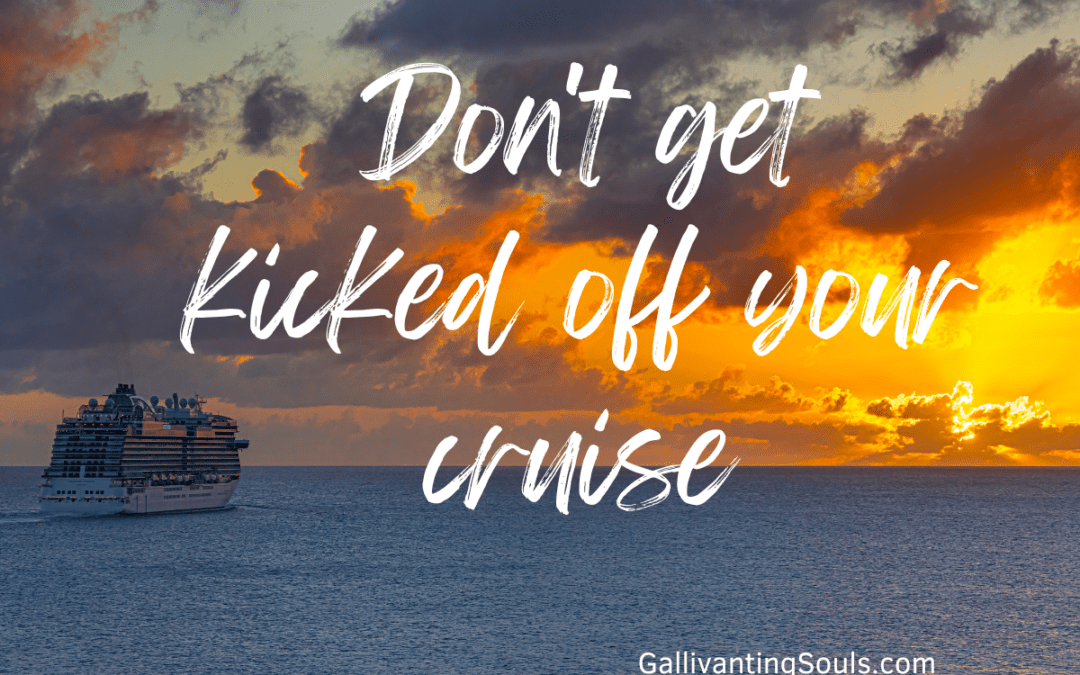 Dpn't get kicked off your cruise with bad behavior. A cruise ship sails off into the sunset without you the guest.