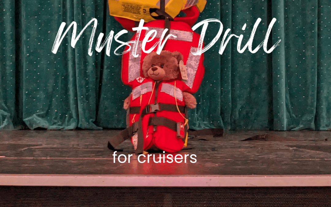 muster drill on carnival. A teddy bear wearing a life jacket