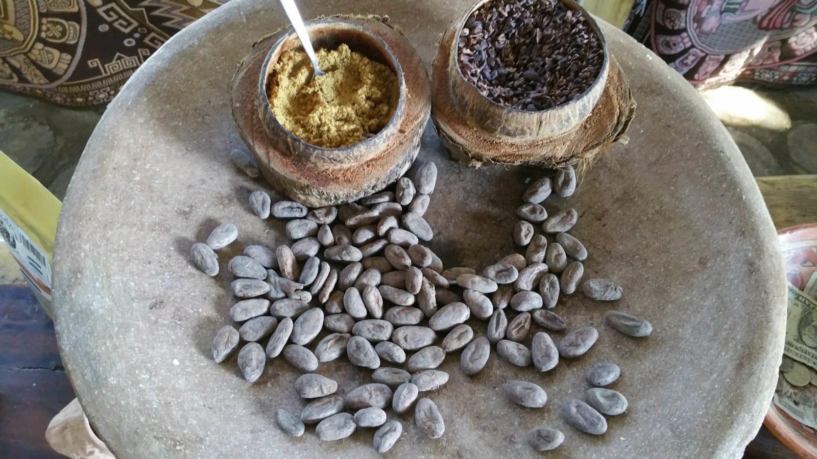 different forms of cocoa beans, butter,powder