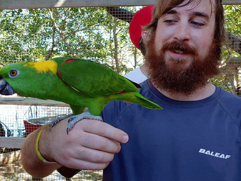 young male holds green parrot