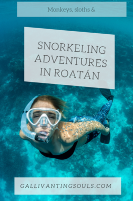 Women snorkeling in mesoamerican reef Roatán