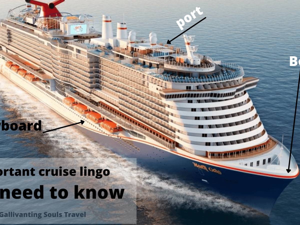 Alpha call on cruise ship | Travelbayz.com