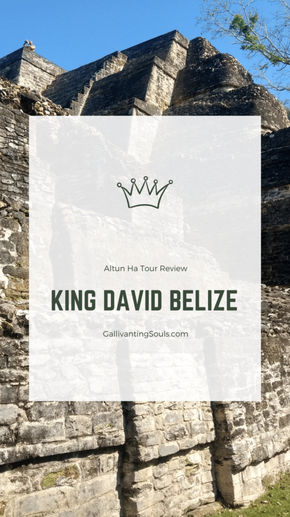 king david belize tours reviews