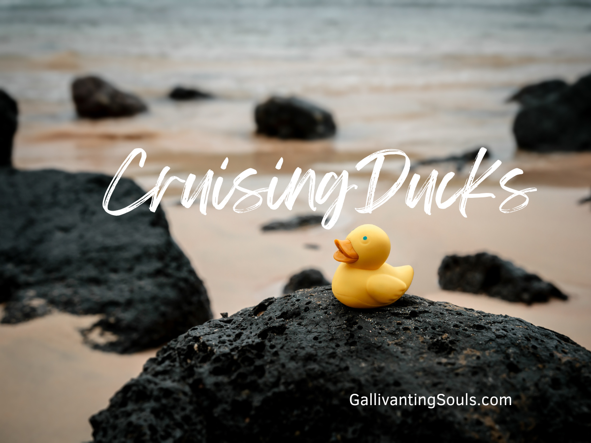 Cruising Ducks: Everything You Wanted To Know 2024 | Gallivanting Souls